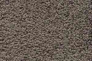 Ковролин AW Devotion 39 фото  | FLOORDEALER